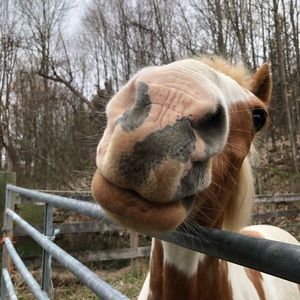 Meet your Posher, Nikki